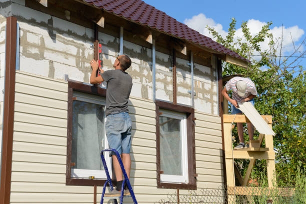 Best Siding Removal and Disposal  in Winfield, AL