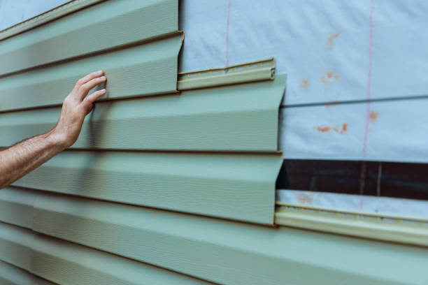 Best Siding Painting and Refinishing  in Winfield, AL